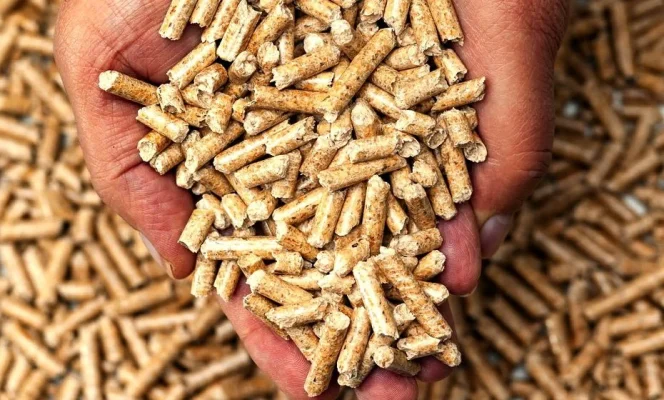 Củi- viên nén- răm bào 6 viên nén mùn cưa