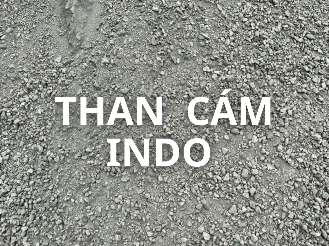than cam indo