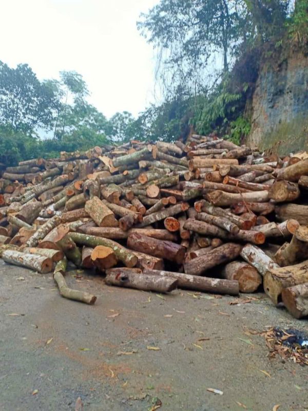 Củi- viên nén- răm bào 3 củi đốt lò hơi