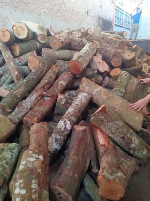 Củi- viên nén- răm bào 1 củi đốt lò hơi