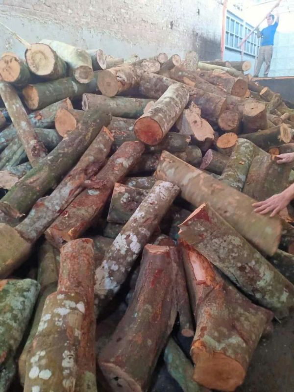 củi đốt lò hơi